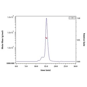 Human LILRB4 / CD85k / ILT3 Protein