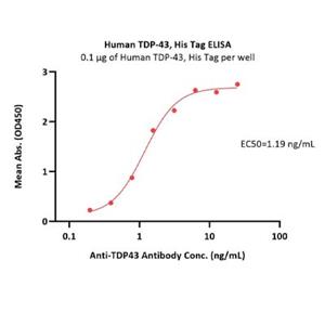 TDP-43 Protein
