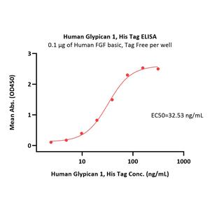 Human Glypican 1 / GPC1 Protein