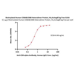 Biotinylated Human CD8 alpha&beta (CD8A&CD8B) Heterodimer Protein