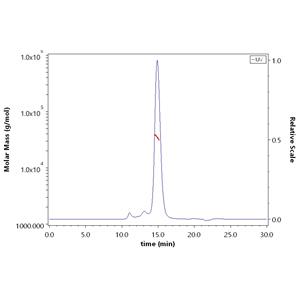 Human CD48 / SLAMF2 Protein