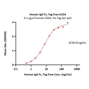 Human IgG1 Fc Protein