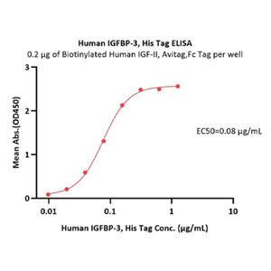 Human IGFBP-3 Protein