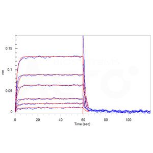 Human Nectin-3 / CD113 Protein