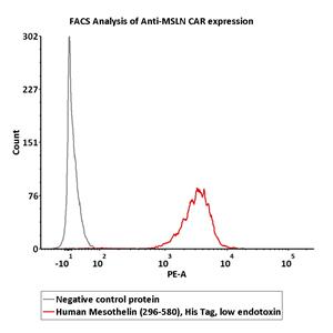 Human Mesothelin / MSLN (296-580) Protein