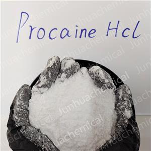 Procaine hydrochloride