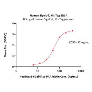Human Siglec-7 Protein