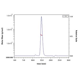 Mouse Fc gamma RIII / CD16 Protein