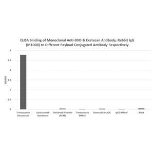Monoclonal Anti-DXD & Exatecan Antibody