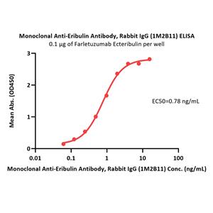 Monoclonal Anti-Eribulin Antibody
