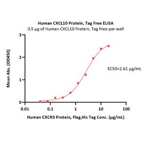 Human CXCL10 Protein