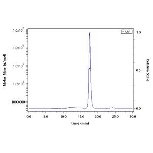 Biotinylated Human IgG1 Fc protein
