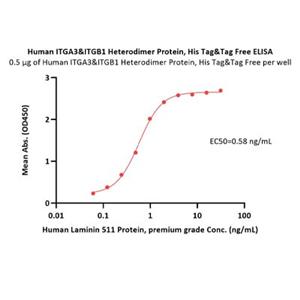 Integrin α3β1 Protein