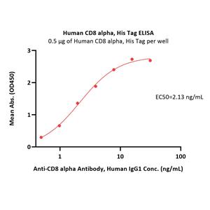 Human CD8 alpha / CD8A Protein