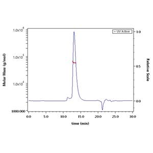 Biotinylated Human CD8 alpha / CD8A Protein