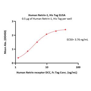 Human Netrin-1 Protein