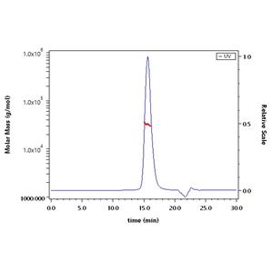 Mouse Fc gamma RIV / CD16-2 Protein