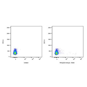 Biotin Rat IgG2b Isotype Control (S-R486)
