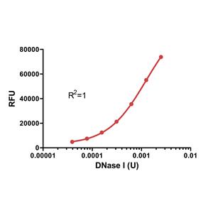 resDetect DNase Activity Assay Kit