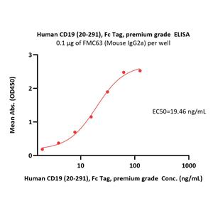 Human CD19 (20-291) Protein