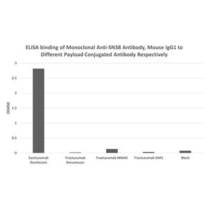 Monoclonal Anti-SN38 Antibody