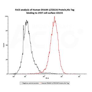 Human DNAM-1 / CD226 Protein