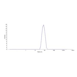 Human Claudin-18.1 Full Length Protein (VLP)