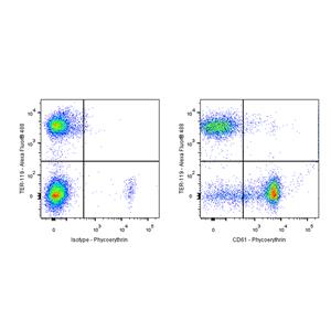 PE Armenian hamster Anti-Mouse/Rat CD61 Antibody (S-R656)