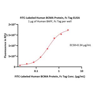FITC-Labeled Human BCMA / TNFRSF17 Protein