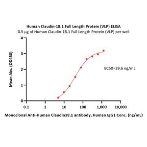 Human Claudin-18.1 Full Length Protein (VLP)