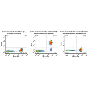 Alexa Fluor 647-Labeled Monoclonal Anti-FMC63 Antibody