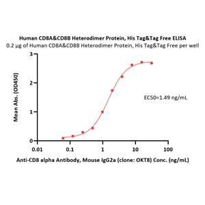 Human CD8 alpha&beta (CD8A&CD8B) Heterodimer Protein