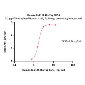 Human IL-21R Protein