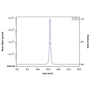 Human Glypican 3 / GPC3 Protein