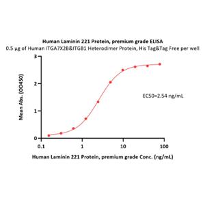Laminin 221 Protein