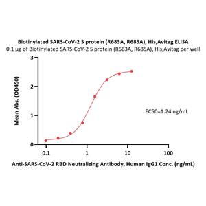 Biotinylated SARS-CoV-2 S protein