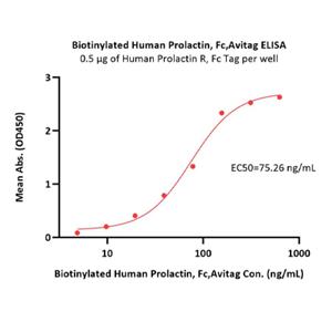 Prolactin / PRL Protein