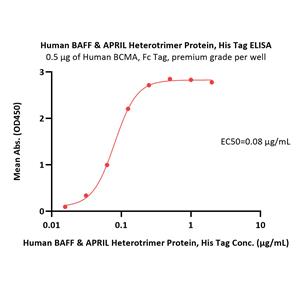 Human BAFF & APRIL Heterotrimer Protein