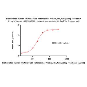 LRRC32&TGF-beta 1 Protein