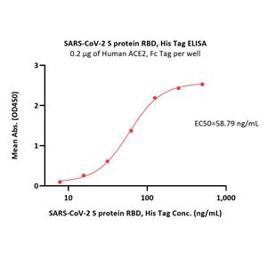 SARS-CoV-2 (COVID-19) S protein RBD