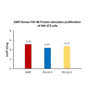 Human FGF-8b Protein