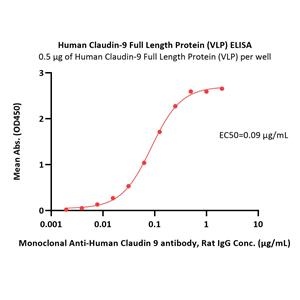 Human Claudin-9 / CLDN9 Full Length Protein (VLP)