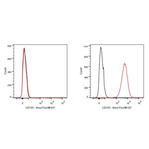 Alexa Fluor 647 Rat Anti-Mouse CD105 Antibody (S-R529)