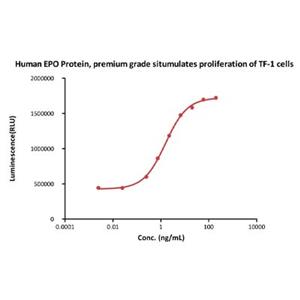Erythropoietin / EPO Protein