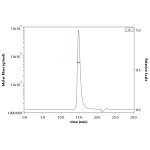 Human BAFF & APRIL Heterotrimer Protein