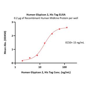 Human Glypican 2 / GPC2 Protein