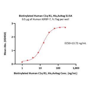 Human C1q R1 Protein