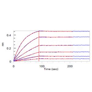 Human TRAIL R2 / DR5 / TNFRSF10B Protein