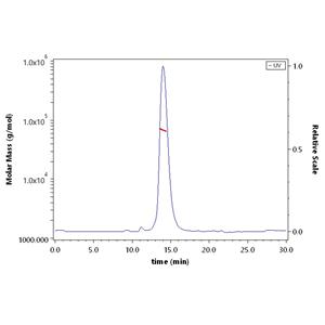Human CD36 / SR-B3 Protein