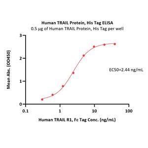Human TRAIL / TNFSF10 Protein